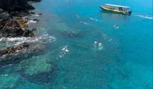 Arial shot of snorkelers in the water