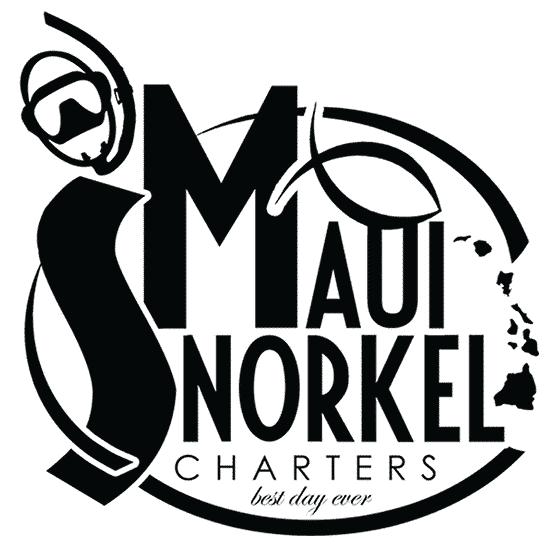 Maui Snorkel Charters